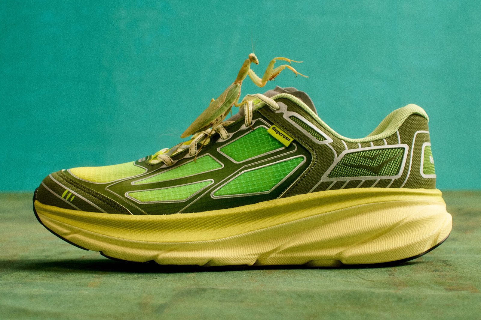 HOKA