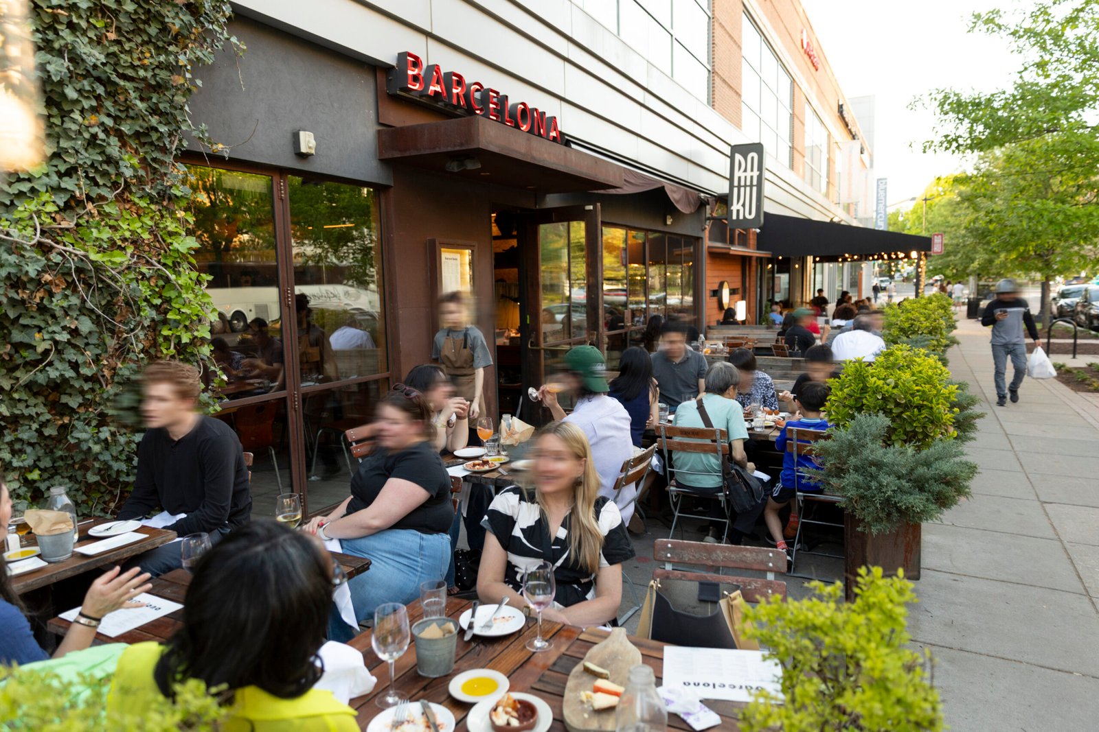 canto blue opens in brooklyn