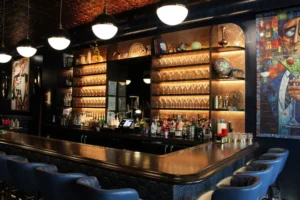 Chicago's New Martini Bar