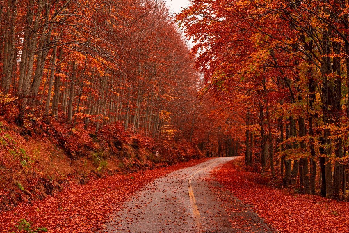 fall luxury travel